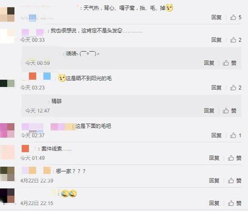 黑吃 网络爆料平台,网络爆料背后的真相与争议