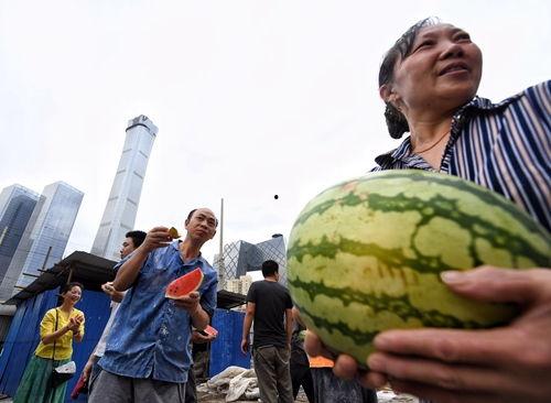 51朝阳吃瓜,揭秘娱乐圈最新吃瓜事件，带你领略明星幕后故事